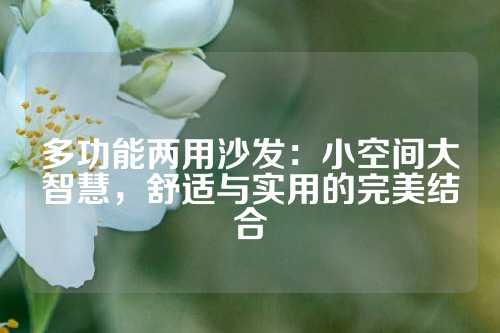 多功能两用沙发：小空间大智慧，舒适与实用的完美结合