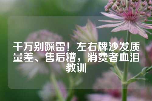 千万别踩雷！左右牌沙发质量差、售后糟，消费者血泪教训