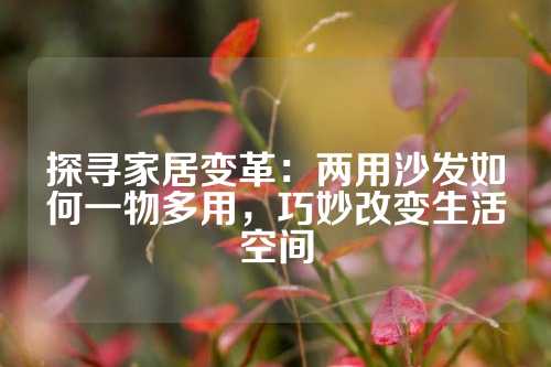探寻家居变革：两用沙发如何一物多用，巧妙改变生活空间