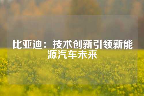 比亚迪：技术创新引领新能源汽车未来