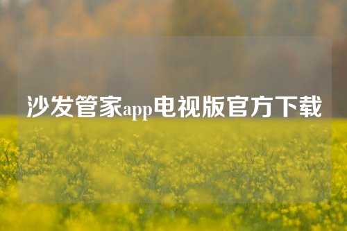 沙发管家app电视版官方下载