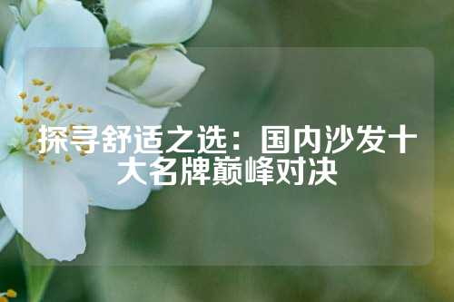 探寻舒适之选：国内沙发十大名牌巅峰对决