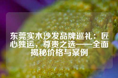 东莞实木沙发品牌巡礼：匠心独运，尊贵之选——全面揭秘价格与案例