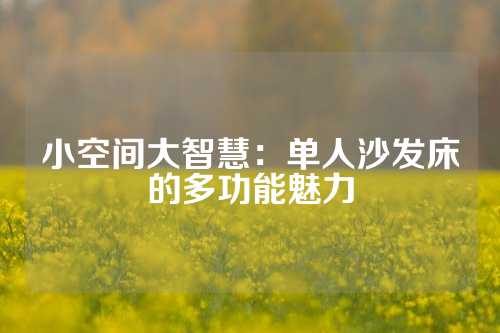 小空间大智慧：单人沙发床的多功能魅力