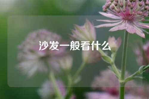 沙发一般看什么