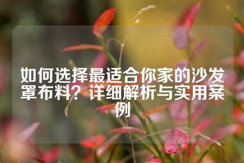 如何选择最适合你家的沙发罩布料？详细解析与实用案例
