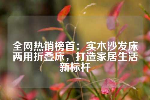 全网热销榜首：实木沙发床两用折叠床，打造家居生活新标杆