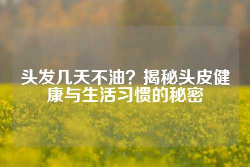 头发几天不油？揭秘头皮健康与生活习惯的秘密