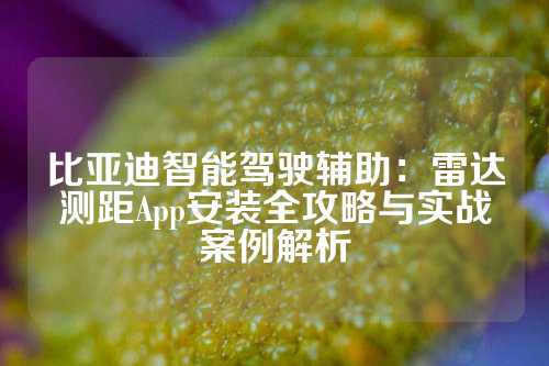 比亚迪智能驾驶辅助：雷达测距App安装全攻略与实战案例解析