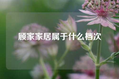 顾家家居属于什么档次