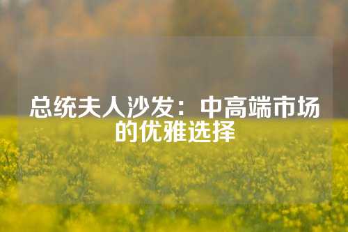 总统夫人沙发：中高端市场的优雅选择