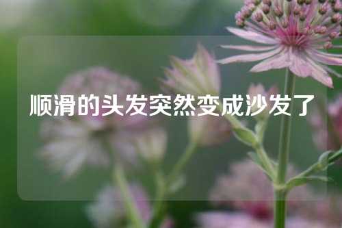 顺滑的头发突然变成沙发了