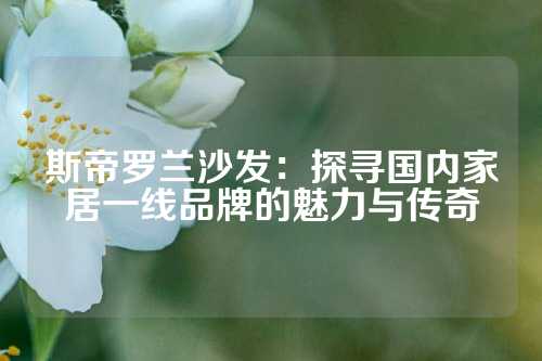 斯帝罗兰沙发：探寻国内家居一线品牌的魅力与传奇