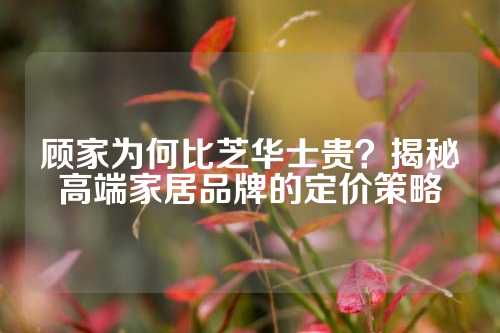 顾家为何比芝华士贵？揭秘高端家居品牌的定价策略