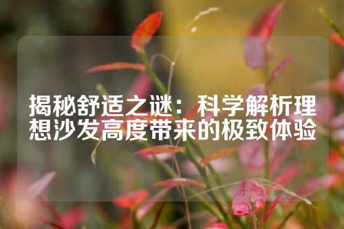 揭秘舒适之谜：科学解析理想沙发高度带来的极致体验