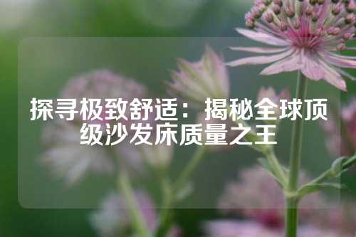 探寻极致舒适：揭秘全球顶级沙发床质量之王