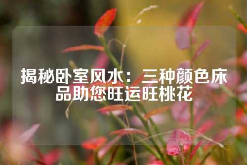 揭秘卧室风水：三种颜色床品助您旺运旺桃花
