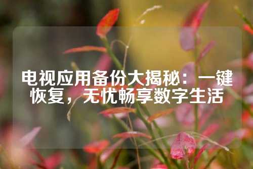 电视应用备份大揭秘：一键恢复，无忧畅享数字生活