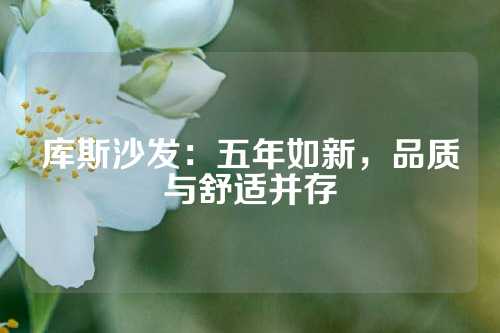 库斯沙发：五年如新，品质与舒适并存