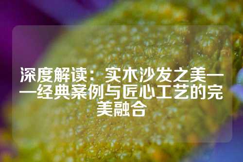深度解读：实木沙发之美——经典案例与匠心工艺的完美融合