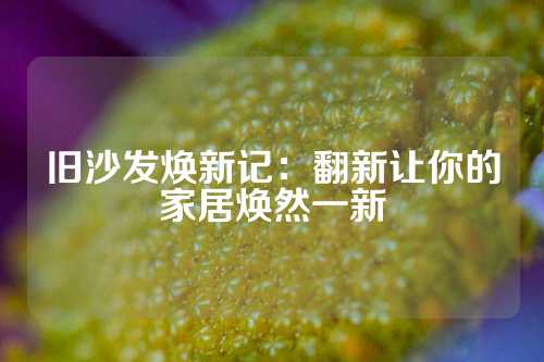 旧沙发焕新记：翻新让你的家居焕然一新