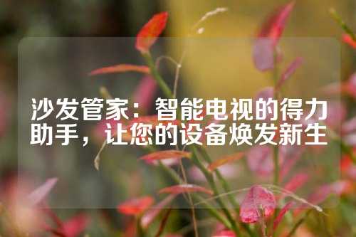 沙发管家：智能电视的得力助手，让您的设备焕发新生