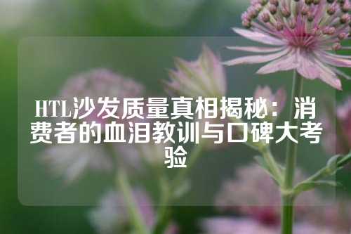 HTL沙发质量真相揭秘：消费者的血泪教训与口碑大考验