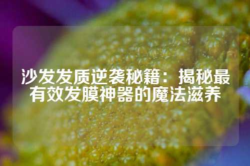 沙发发质逆袭秘籍：揭秘最有效发膜神器的魔法滋养