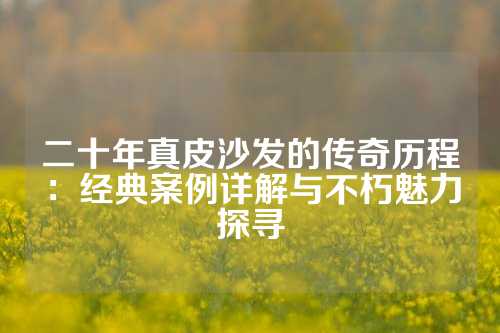二十年真皮沙发的传奇历程：经典案例详解与不朽魅力探寻