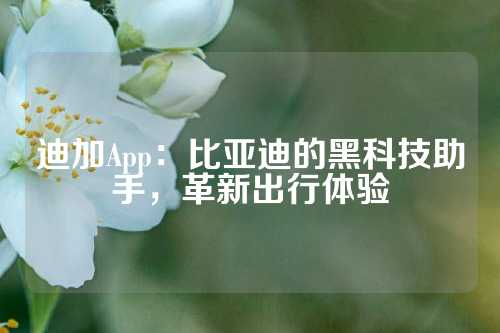 迪加App：比亚迪的黑科技助手，革新出行体验