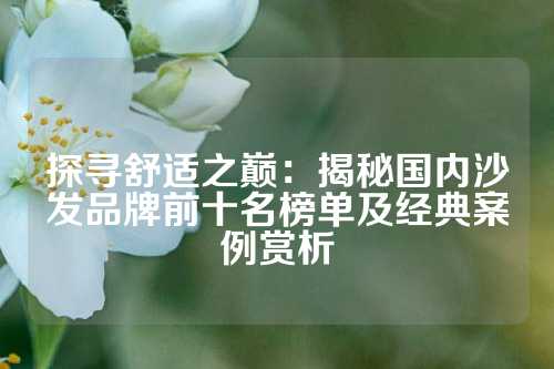 探寻舒适之巅：揭秘国内沙发品牌前十名榜单及经典案例赏析