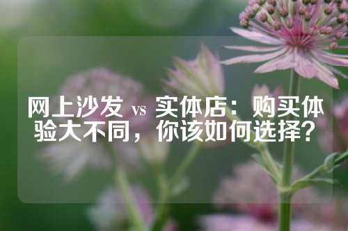 网上沙发 vs 实体店：购买体验大不同，你该如何选择？