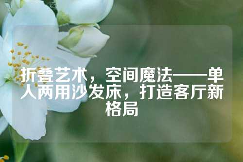 折叠艺术，空间魔法——单人两用沙发床，打造客厅新格局