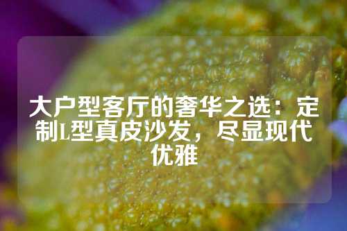 大户型客厅的奢华之选：定制L型真皮沙发，尽显现代优雅