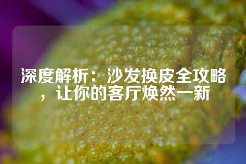 深度解析：沙发换皮全攻略，让你的客厅焕然一新