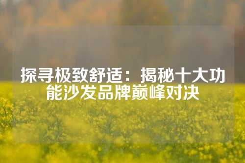 探寻极致舒适：揭秘十大功能沙发品牌巅峰对决