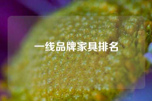 一线品牌家具排名