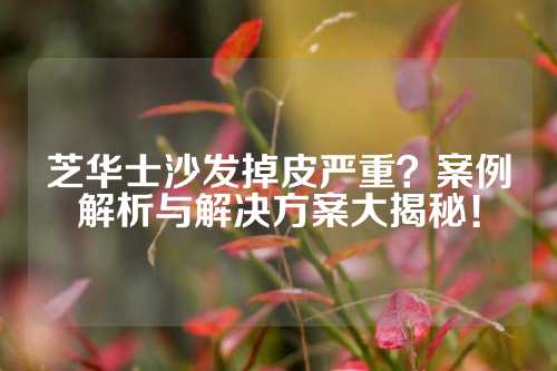 芝华士沙发掉皮严重？案例解析与解决方案大揭秘！