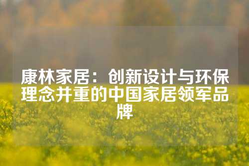康林家居：创新设计与环保理念并重的中国家居领军品牌
