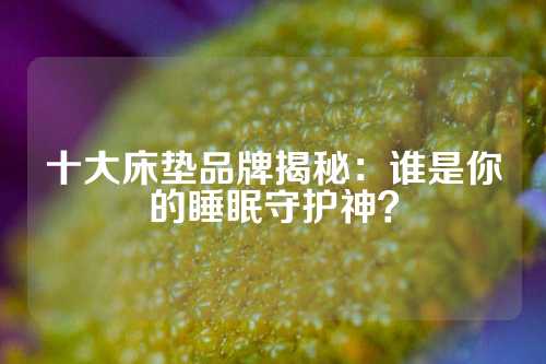 十大床垫品牌揭秘：谁是你的睡眠守护神？
