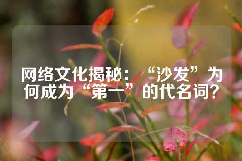 网络文化揭秘：“沙发”为何成为“第一”的代名词？