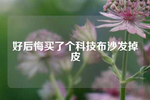 好后悔买了个科技布沙发掉皮