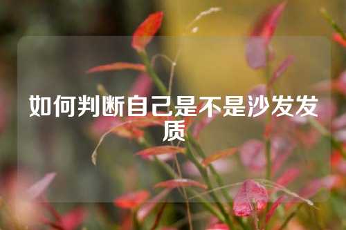 如何判断自己是不是沙发发质