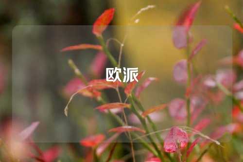 欧派