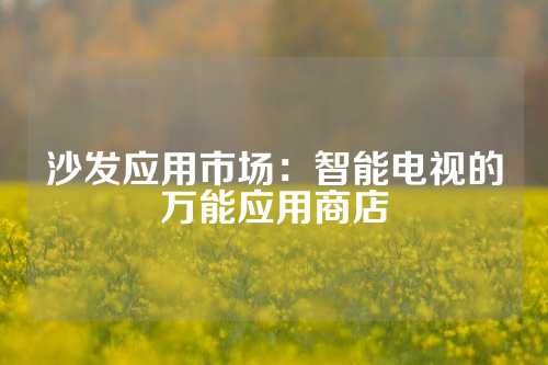 沙发应用市场：智能电视的万能应用商店