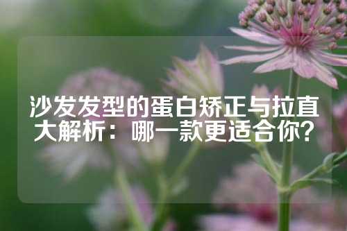 沙发发型的蛋白矫正与拉直大解析：哪一款更适合你？