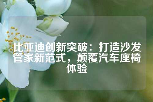 比亚迪创新突破：打造沙发管家新范式，颠覆汽车座椅体验