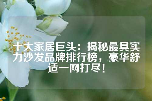 十大家居巨头：揭秘最具实力沙发品牌排行榜，豪华舒适一网打尽！