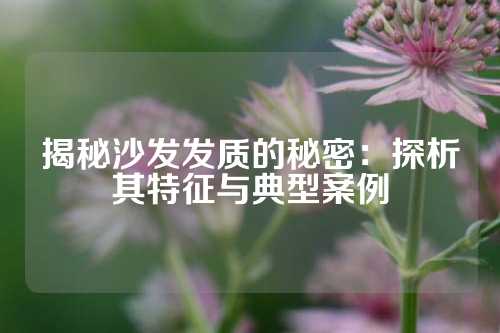 揭秘沙发发质的秘密：探析其特征与典型案例