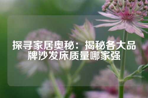 探寻家居奥秘：揭秘各大品牌沙发床质量哪家强